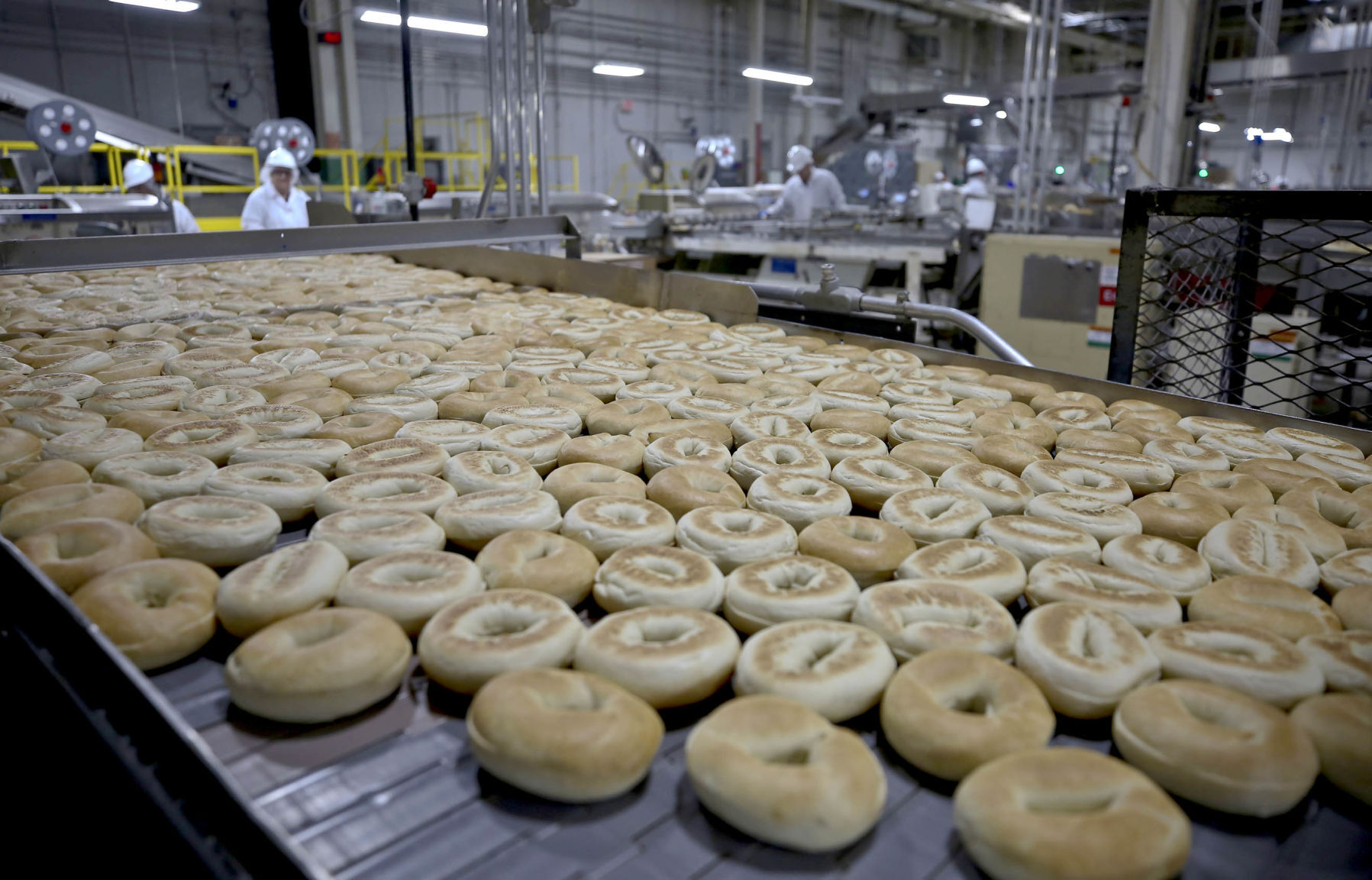 A bagel is born: ready to be wrapped
